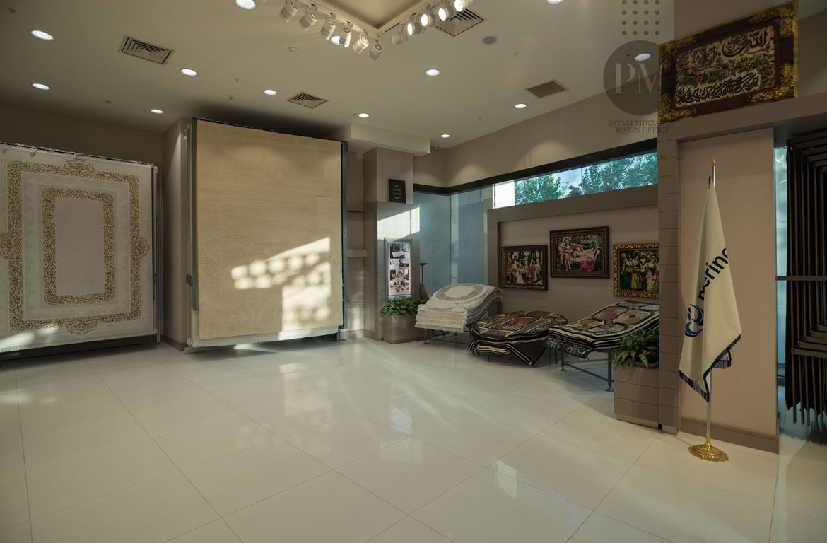 Payam Mirzaian Merinus Project 03