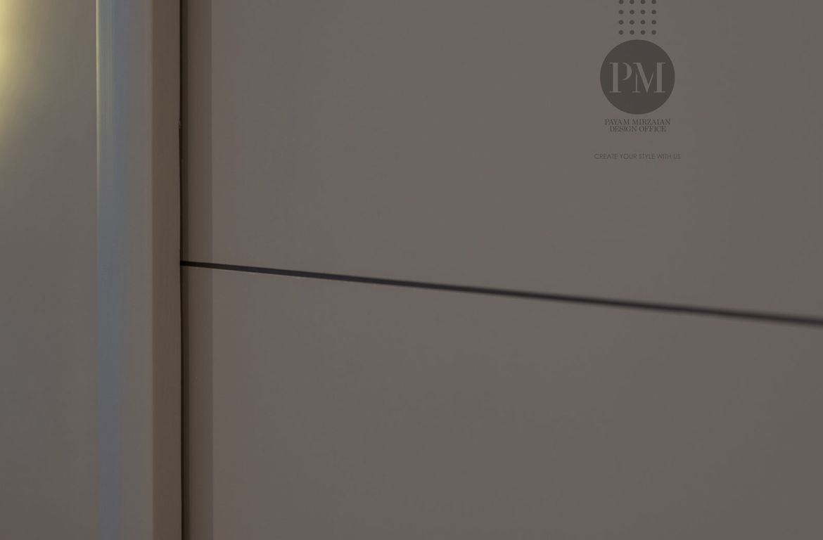 Payam Mirzaian Merinus Project 04