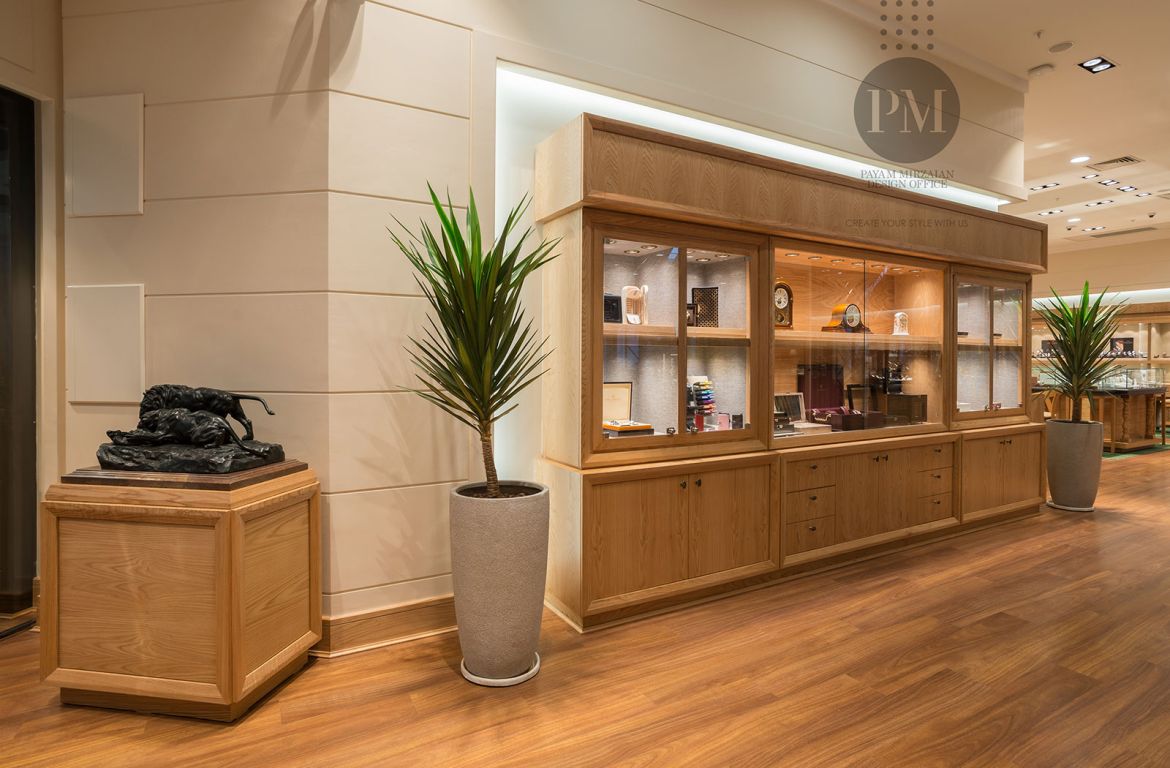 Payam Mirzaeian OMEGA Project 05