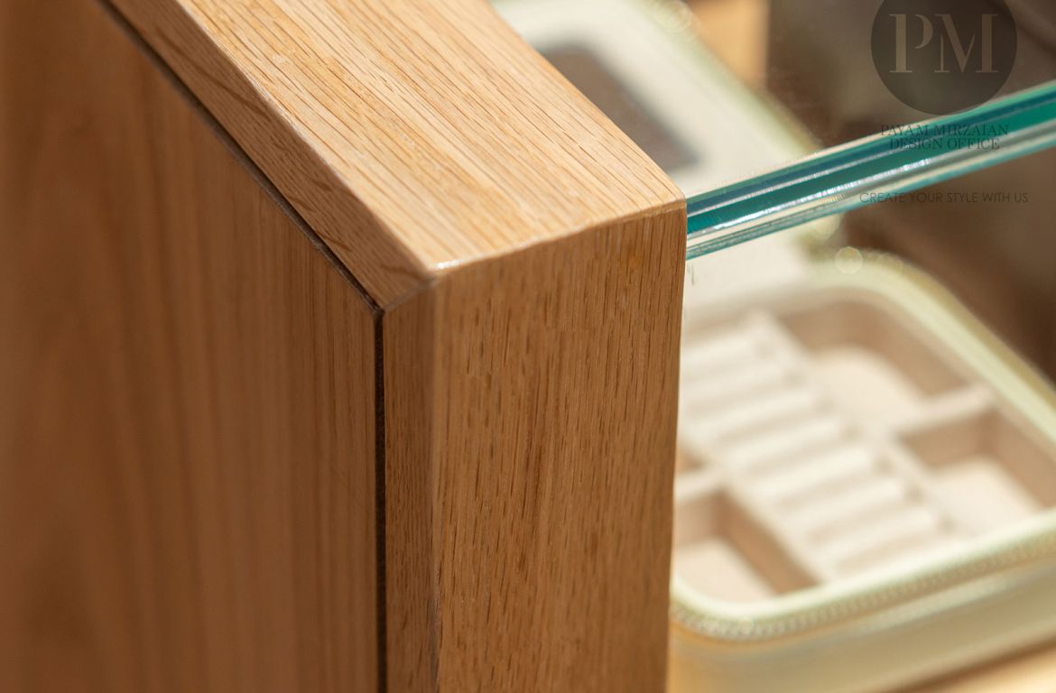 Payam Mirzaeian OMEGA Project 18