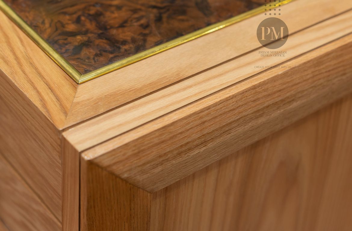 Payam Mirzaeian OMEGA Project 20