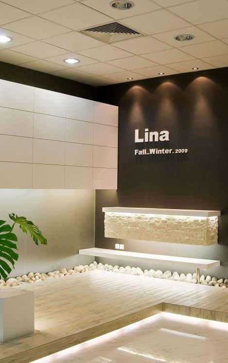 Payam Mirzaian Line Project